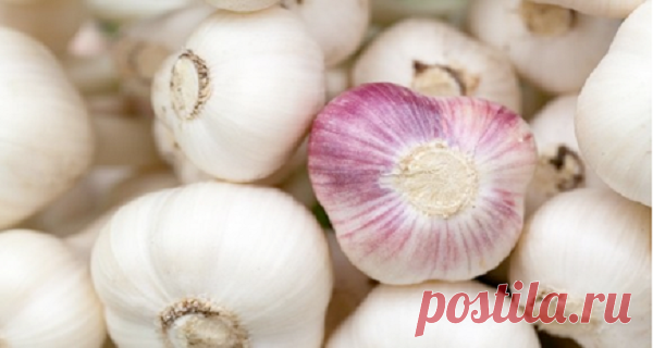 Каждое утро китайцы кладут зубчик чеснока в рот — и вот почему… Это лечение довольно эффективно, потому что чеснок богат питательными веществами, которые полезны для очистки тела и лимфы от токсинов.