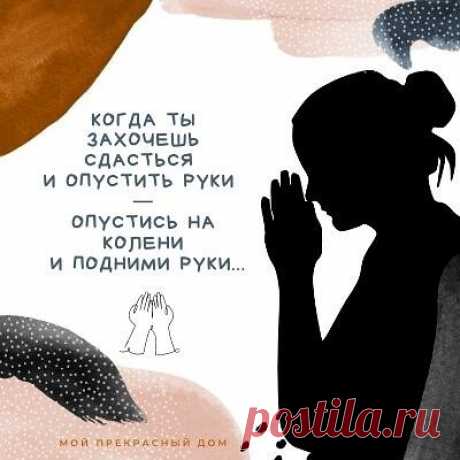 Когда ты захочешь сдасться и опустить руки -
Опустись на колени и подними руки...#цитатадня #мойпрекрасныйдом