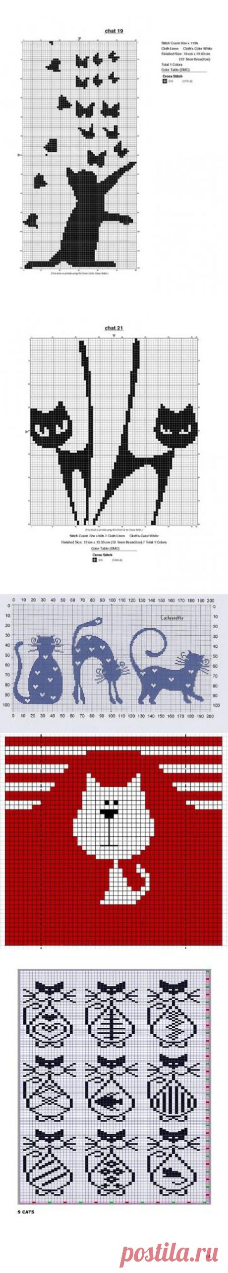 жаккард прикольные коты