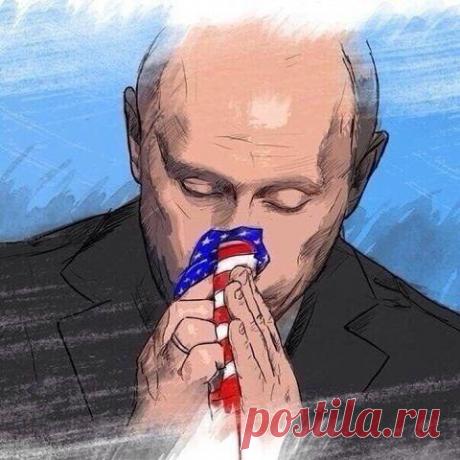 Путин. Лучшие приколы за последнее время