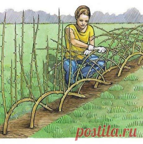 "Строим" забор | Делаем сами