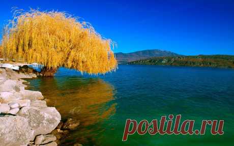 Озеро, пейзаж, Природа, ива, осень, дерево обои, фото, картинки