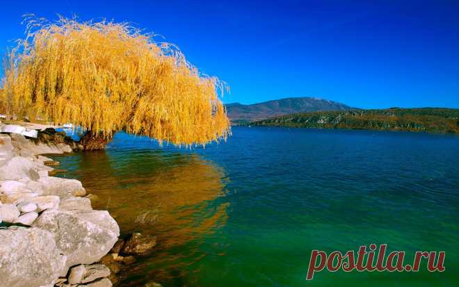 Озеро, пейзаж, Природа, ива, осень, дерево обои, фото, картинки