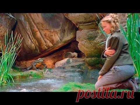 Принц-лягушка - чешская немецкая сказка