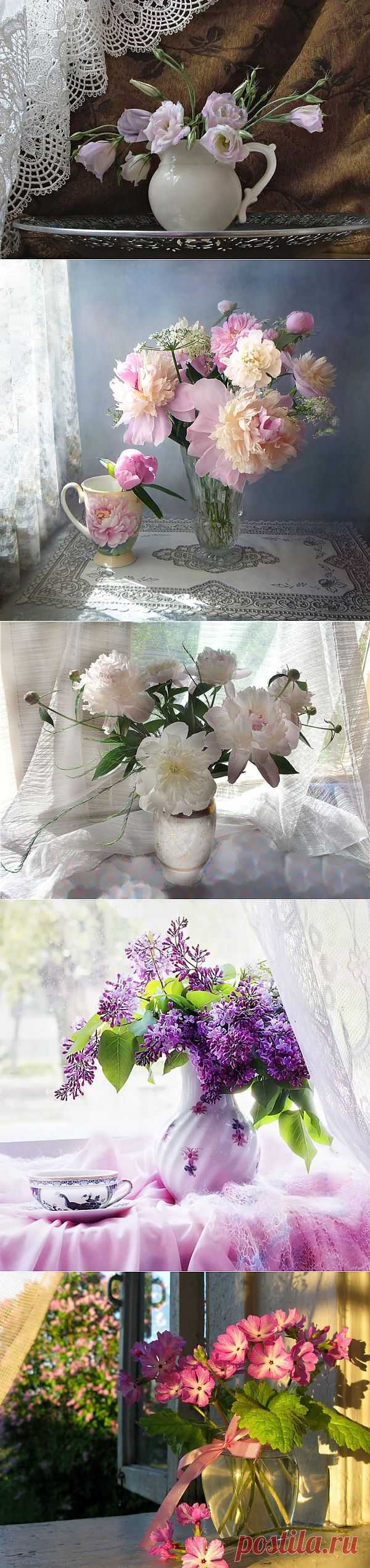 Натюрморт Под кружевною занавеской.