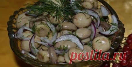 Безумно вкусные и нежные маринованные шампиньоны. Потрясные грибы можно подавать с гарниром или добавлять в пиццу.