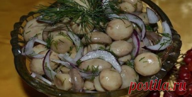 Безумно вкусные и нежные маринованные шампиньоны. Потрясные грибы можно подавать с гарниром или добавлять в пиццу.