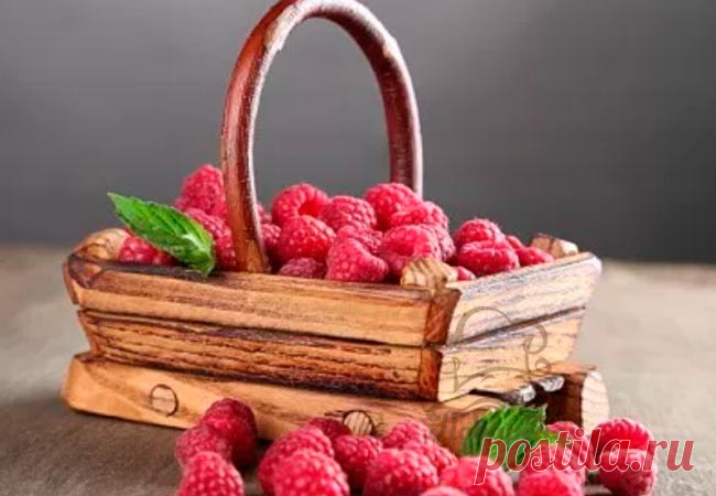 Домашнее сухое вино из малины без сахара
