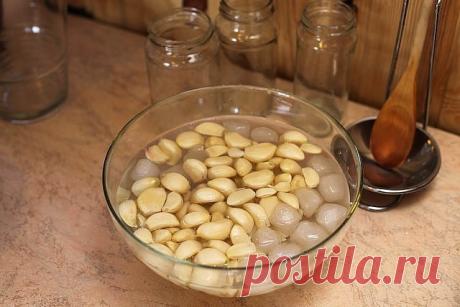 (5) Одноклассники