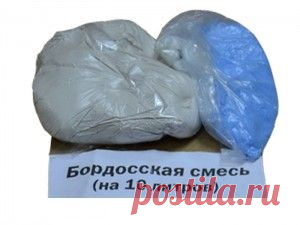 Бордосская жидкость. Приготовление и применение | Дача - впрок
