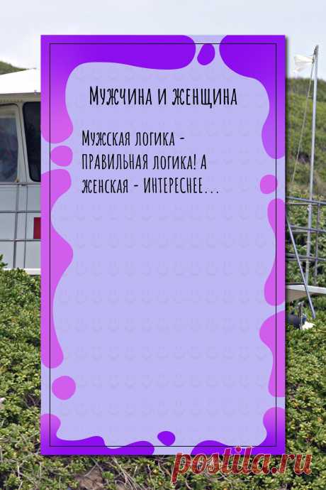 Цитата про «Мужчину и женщину» — Мужская логика - ПРАВИЛЬНАЯ логика! А женская -…