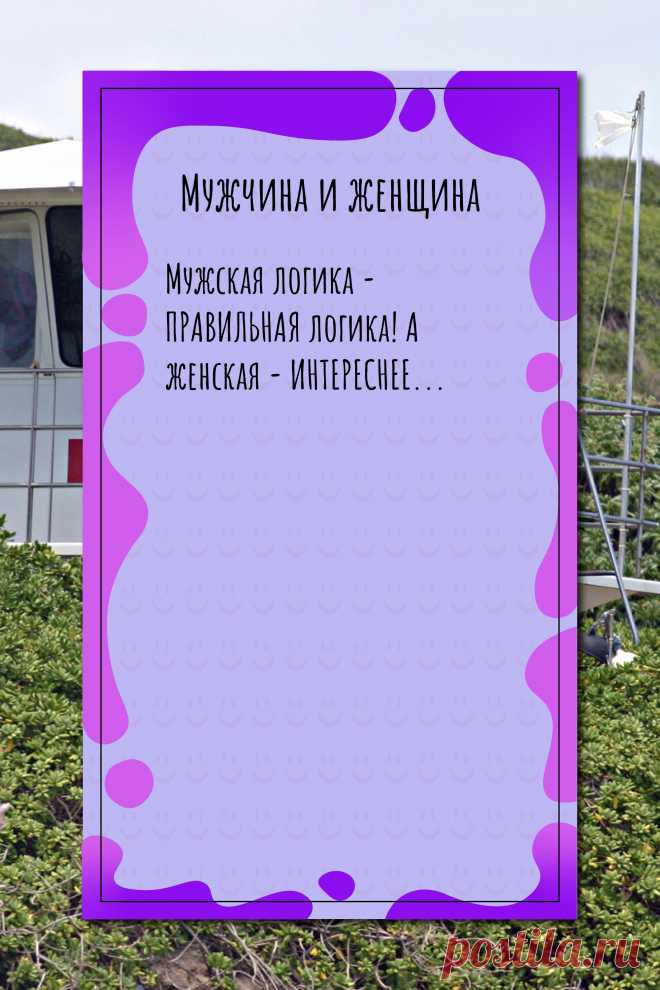 Цитата про «Мужчину и женщину» — Мужская логика - ПРАВИЛЬНАЯ логика! А женская -…