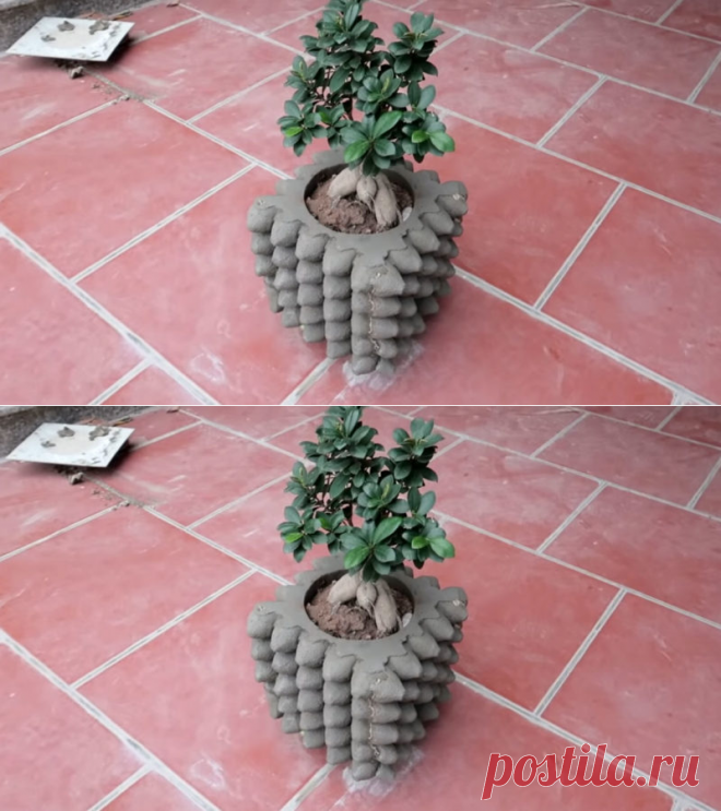 Необычный цветочный горшок для сада из цемента и лотка для яиц - Журнал для женщин