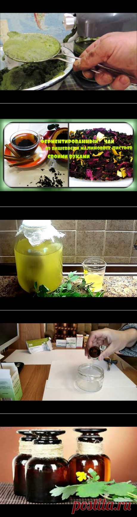 Сок чистотела 🍀 без спиртовых добавок - как сделать и сохранить (juice). - YouTube