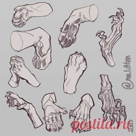 Рисунок. Лапа.