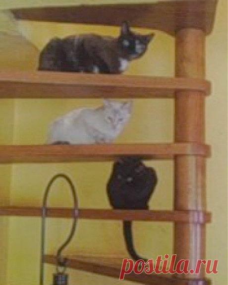 Cristina Rodriguez Fernandez