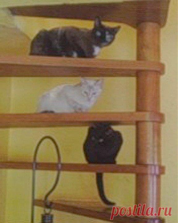 Cristina Rodriguez Fernandez