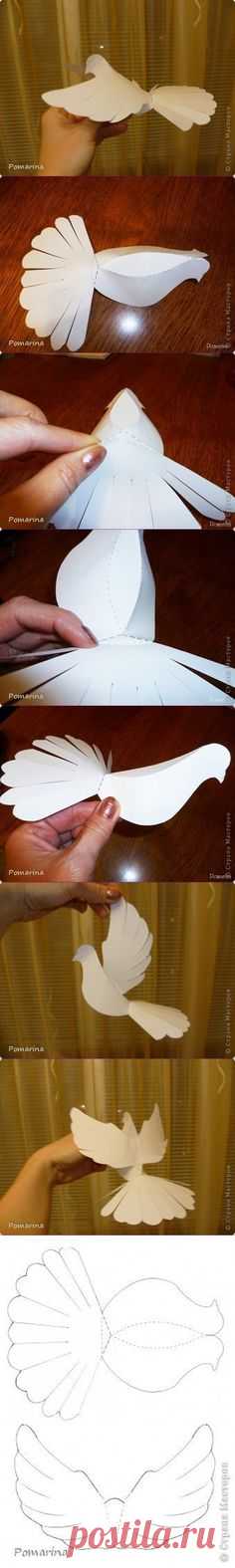 paper dove tutorial