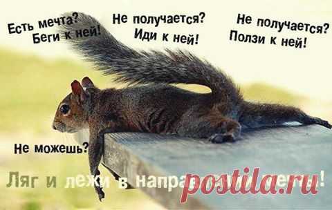 (4) Facebook