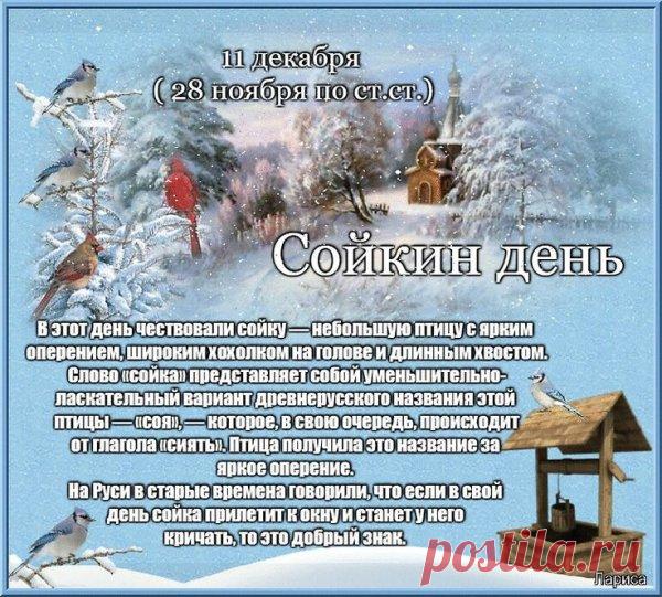 Поздравляем с Сойкиным днем! Пусть ваша забота о птицах принесет вам радость и благополучие. Спасибо, что помогаете лесным жителям! Открытки на Сойкин день!