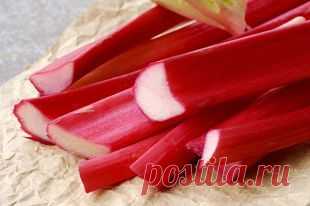 С кислинкой. Что приготовить из ревеня