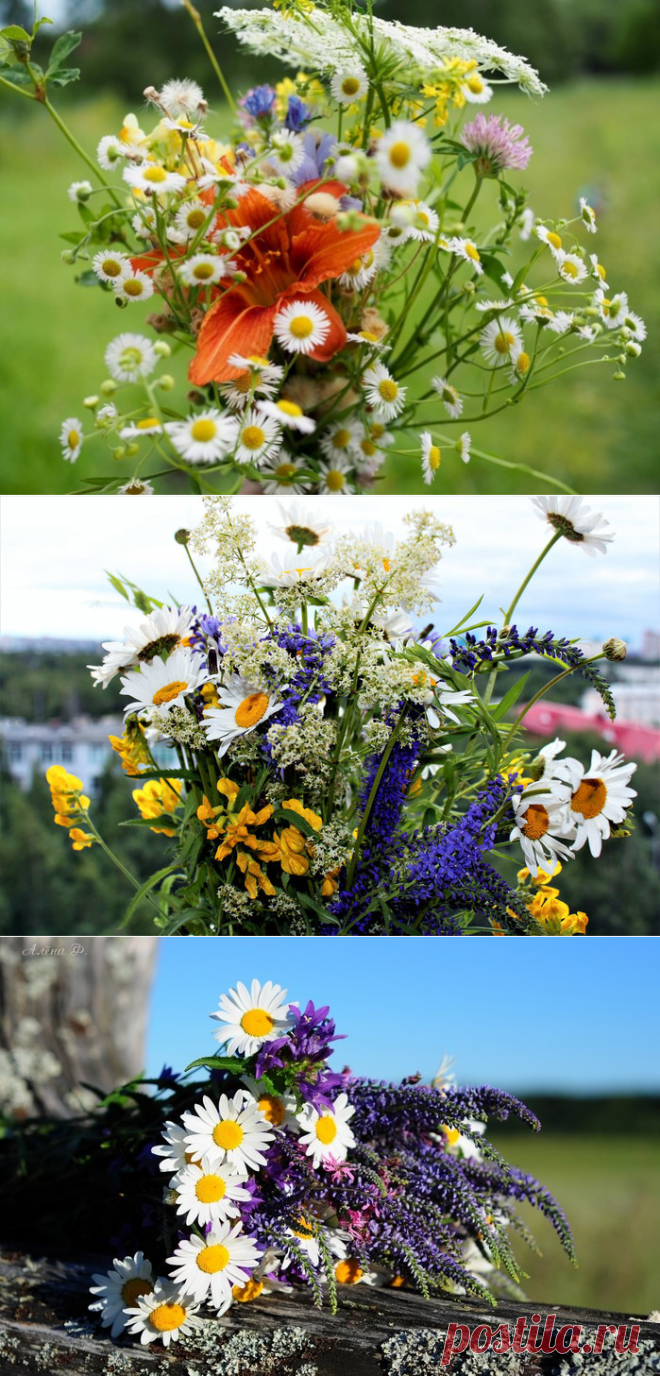 Картинки лета