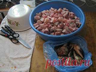 Консервы из щуки - Рыбная кулинария - Разное - Рыболовам - Речная Рыбалка