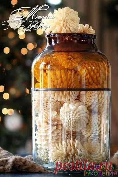 КАК ОТБЕЛИТЬ СОСНОВЫЕ ШИШКИ / Сферический бизнес