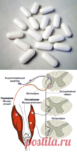 Недопущение и лечение спастики |