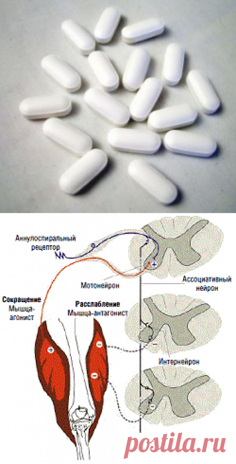 Недопущение и лечение спастики |