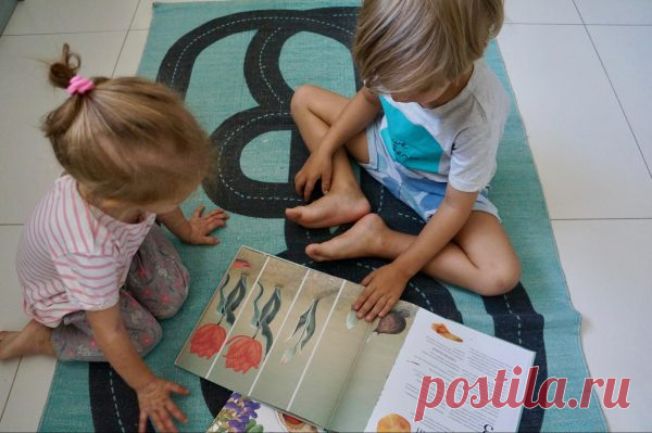 Обращайте внимание на соотношение текста и картинок. Иллюстрации должны доминировать. На фото — книга «Метаморфозы».