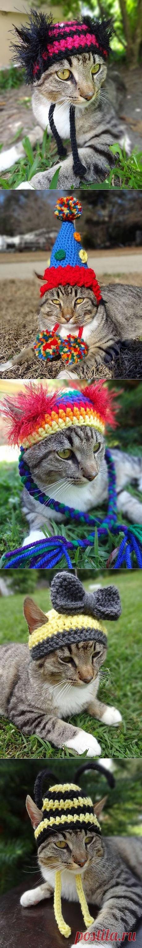 Вязаные шапочки для котиков / Я - суперпупер