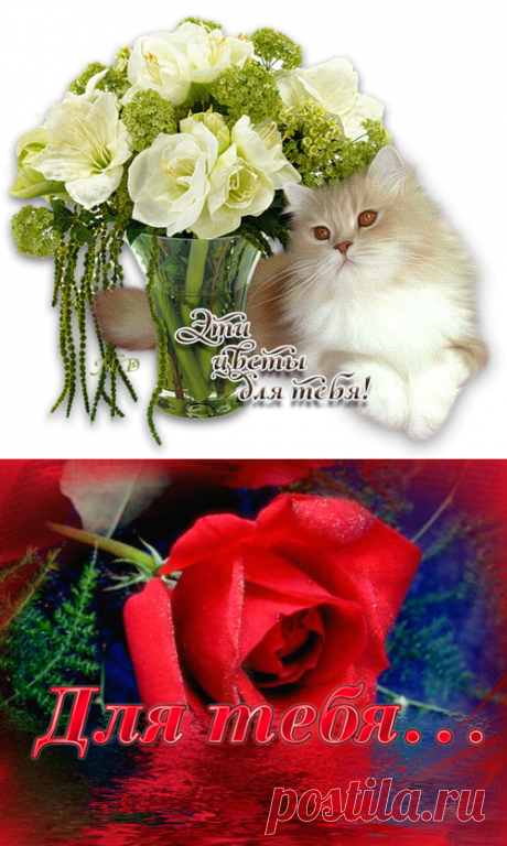 Плейкаст «*** Для тебя!!! ***»