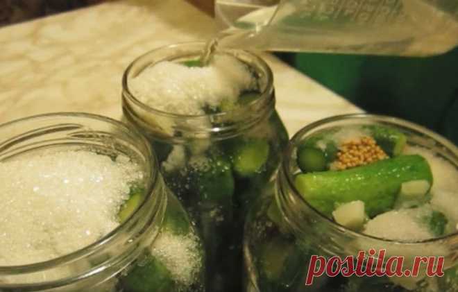 Маринованные хрустящие огурцы: 14 самых вкусных рецептов на зиму