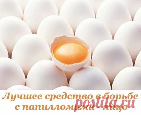(88) Одноклассники