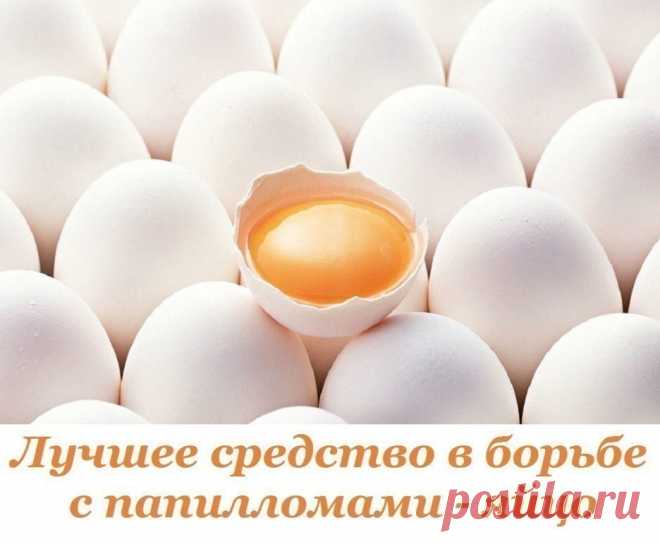 (88) Одноклассники