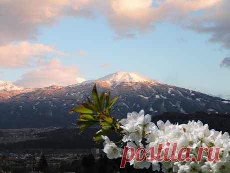 "В улыбающееся лицо стрелу не пускают" - вся японская мудрость в этих 35 фразах