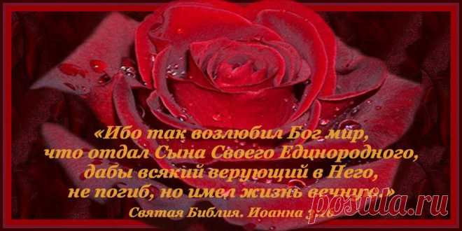 3.16+%D0%B1%D0%BB%D0%BE%D0%B3+%D0%BA%D0%BE%D0%BF%D0%B8%D1%8F.jpg (980×490)