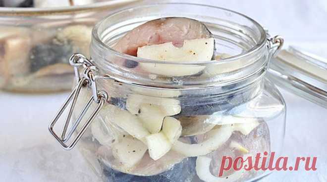 Скумбрия маринованная