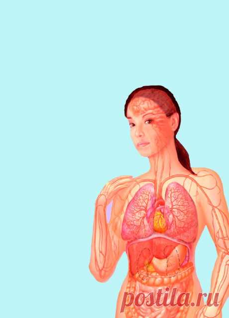 Как связаны пищеварение и женские заболевания
Гормон эстроген, выполнив свою функцию, должен детоксифицироваться в печени и выводиться из организма. Но определенные проблемы желудочно-кишечного тракта создают условия избытка эстрогена. Эндомитриоз, миома, мастопатия являются эстрогензависимыми болезнями. Женский гормон эстроген регулирует функцию половых органов. Львиную долю эстрогена производит...
Читай дальше на сайте. Жми подробнее ➡