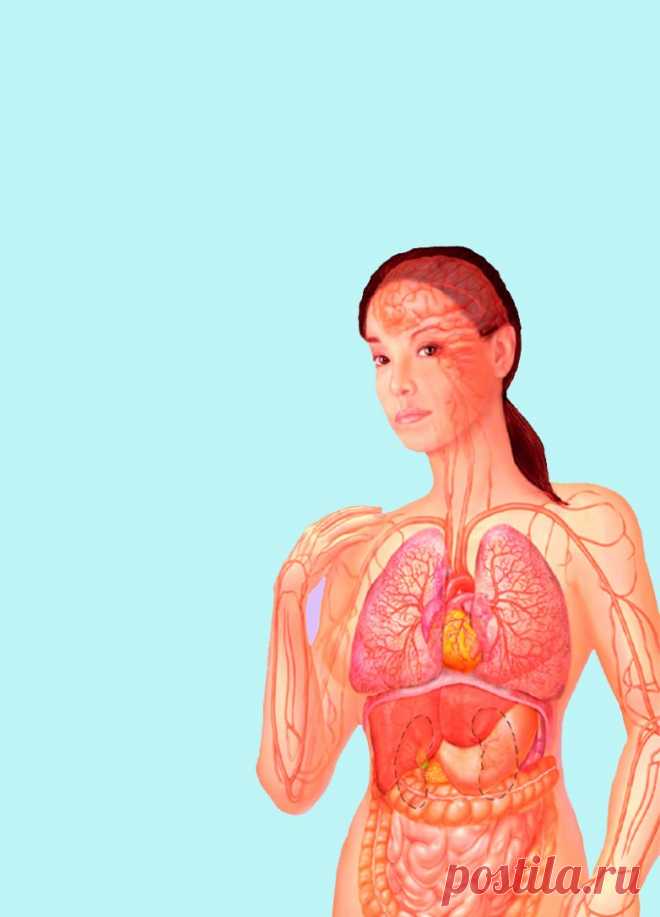 Как связаны пищеварение и женские заболевания
Гормон эстроген, выполнив свою функцию, должен детоксифицироваться в печени и выводиться из организма. Но определенные проблемы желудочно-кишечного тракта создают условия избытка эстрогена. Эндомитриоз, миома, мастопатия являются эстрогензависимыми болезнями. Женский гормон эстроген регулирует функцию половых органов. Львиную долю эстрогена производит...
Читай дальше на сайте. Жми подробнее ➡