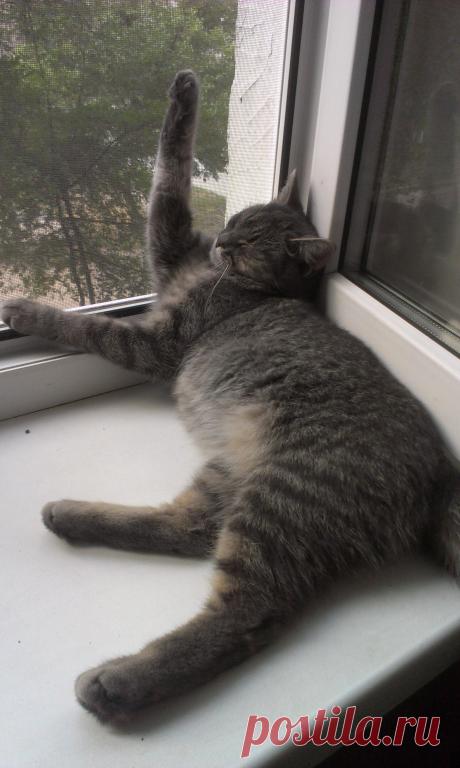 любимое место