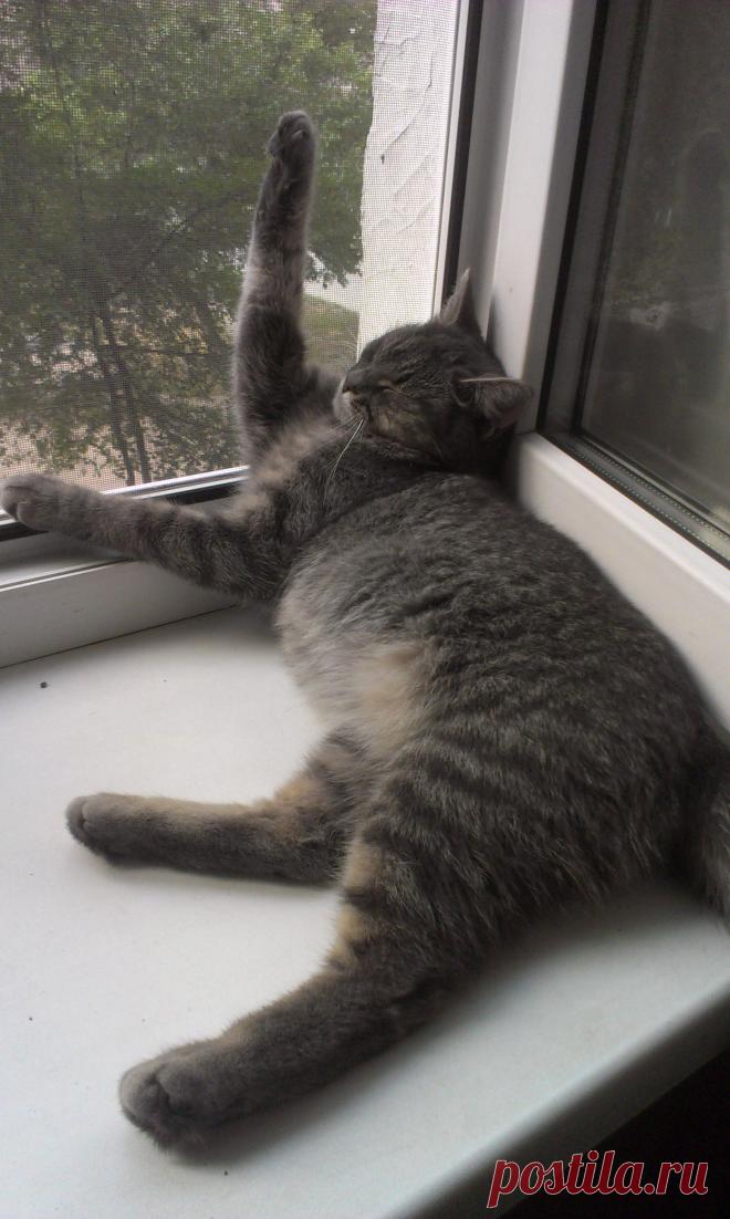 любимое место