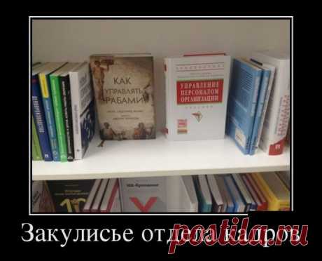 Весёлые демотиваторы