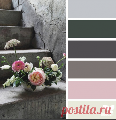 jessica colaluca (@designseeds) • Фото и видео в Instagram