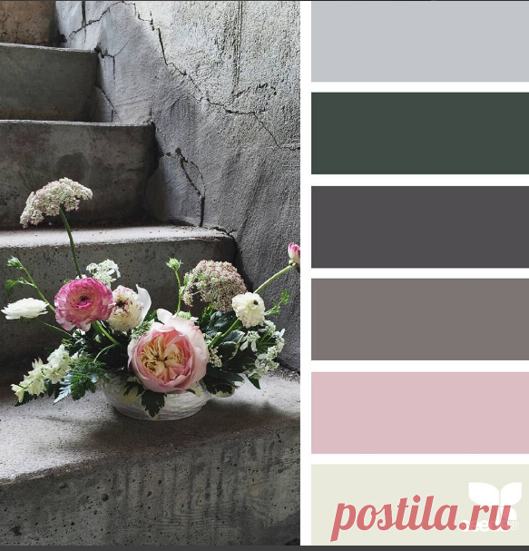 jessica colaluca (@designseeds) • Фото и видео в Instagram