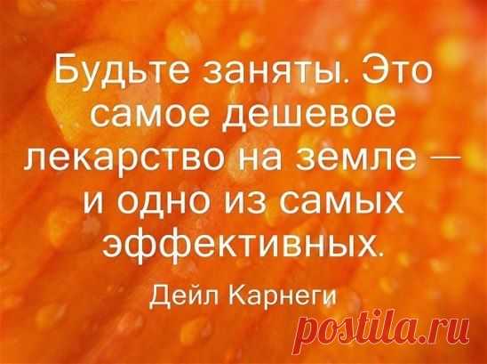 Может быть, лучше не видеть жизни такой, как она есть, закрыть на всё глаза и веселиться.