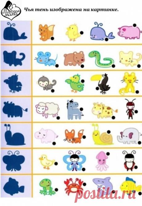 Интересные новости