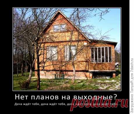 Российских дачников ждёт перестройка.