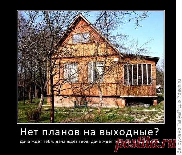 Российских дачников ждёт перестройка.